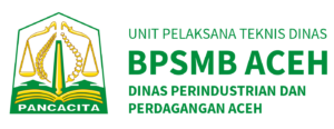 bpsmbpaceh-logo